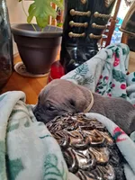 processed/fa01f870-922d-4482-aa66-11226bd25bee/listing/4318d4ac-1788-47b6-8b60-59d7b475d33c/a927887c-45ee-46f5-99e3-09bcdcd3487f