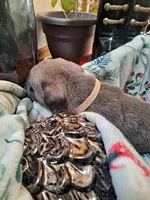 processed/fa01f870-922d-4482-aa66-11226bd25bee/listing/4318d4ac-1788-47b6-8b60-59d7b475d33c/af08d818-74df-4a5c-b3a7-fd4cd6752d51