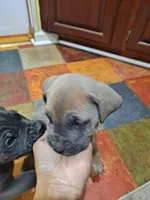 processed/fa01f870-922d-4482-aa66-11226bd25bee/listing/4318d4ac-1788-47b6-8b60-59d7b475d33c/c5a37f9a-5148-455f-a4e6-a75f044e0400