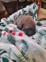 processed/fa01f870-922d-4482-aa66-11226bd25bee/listing/4318d4ac-1788-47b6-8b60-59d7b475d33c/ecdb3d88-46ca-4378-9bc2-4bd769812f97