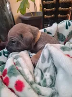 processed/fa01f870-922d-4482-aa66-11226bd25bee/listing/4318d4ac-1788-47b6-8b60-59d7b475d33c/edad98bd-9262-4c5e-927d-fa3d5bdc90ea