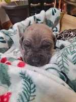 processed/fa01f870-922d-4482-aa66-11226bd25bee/listing/4318d4ac-1788-47b6-8b60-59d7b475d33c/ffe50cf7-de21-4baa-8d3c-c0ecfa77f79f