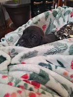 processed/fa01f870-922d-4482-aa66-11226bd25bee/listing/7314031e-7e55-466e-9eca-3f5adf3d0114/5826ead4-e10f-4aa7-b1cc-a0da6e2a70f4