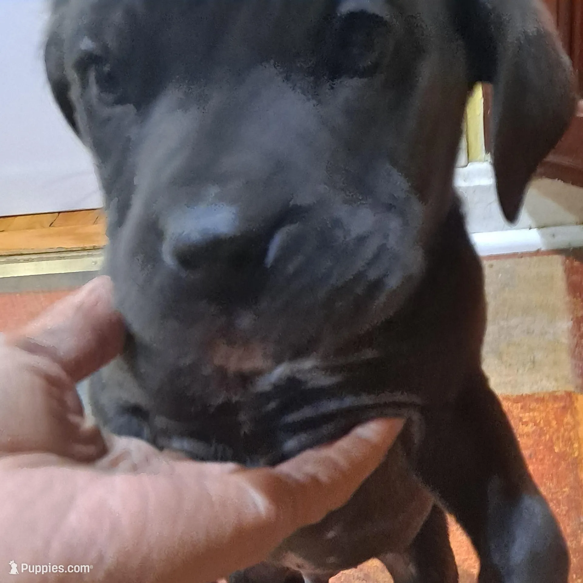 processed/fa01f870-922d-4482-aa66-11226bd25bee/listing/7d6fd1e5-4f57-4f4f-b1f8-af07d3645fdb/2388a184-d2e9-46c7-8e52-f891446d6260