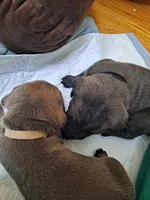 processed/fa01f870-922d-4482-aa66-11226bd25bee/listing/7d6fd1e5-4f57-4f4f-b1f8-af07d3645fdb/e321fd3c-361a-4bdb-83d8-06f3cdff83f5