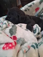 processed/fa01f870-922d-4482-aa66-11226bd25bee/listing/80b2aabc-128d-4da8-bc5f-0b822d9c1ec0/10c9d95b-184a-40fd-9ec8-b67382092070