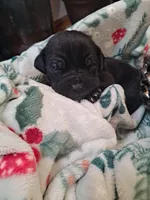 processed/fa01f870-922d-4482-aa66-11226bd25bee/listing/80b2aabc-128d-4da8-bc5f-0b822d9c1ec0/538ccca4-d7d7-485e-a1e2-b8a4baf798b6