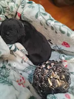 processed/fa01f870-922d-4482-aa66-11226bd25bee/listing/80b2aabc-128d-4da8-bc5f-0b822d9c1ec0/c871e20b-76fd-4397-b0f0-22e5aa304a38