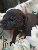 processed/fa01f870-922d-4482-aa66-11226bd25bee/listing/80b2aabc-128d-4da8-bc5f-0b822d9c1ec0/d28a041d-6fd1-4ee8-882d-0acff92b3980