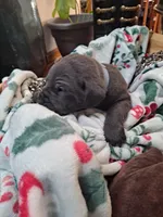 processed/fa01f870-922d-4482-aa66-11226bd25bee/listing/9968c3f0-dbe9-4c9e-9f4a-4fef4b3bcb62/3c523e2a-c018-4149-adf1-53f68a8bf7d7