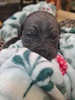 processed/fa01f870-922d-4482-aa66-11226bd25bee/listing/9968c3f0-dbe9-4c9e-9f4a-4fef4b3bcb62/d3ec6853-ffc8-4f59-8de5-f82fbbaf71d3