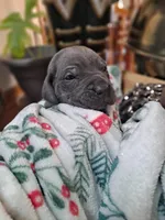 processed/fa01f870-922d-4482-aa66-11226bd25bee/listing/ad2cdc4c-2db0-4fbf-a0d3-b16d558e102f/07900b60-158f-40d4-b3b9-b0926a18a261