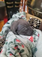 processed/fa01f870-922d-4482-aa66-11226bd25bee/listing/ad2cdc4c-2db0-4fbf-a0d3-b16d558e102f/1115905d-7cc4-40cf-b198-10e882c88a22