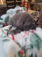 processed/fa01f870-922d-4482-aa66-11226bd25bee/listing/ad2cdc4c-2db0-4fbf-a0d3-b16d558e102f/1ea77843-dbb7-48f1-856a-4c9045f876b6