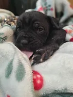 processed/fa01f870-922d-4482-aa66-11226bd25bee/listing/cb39eadb-4baa-4b7d-9831-281f63435678/4c24206a-3627-45e6-90a0-29722cc32fe9