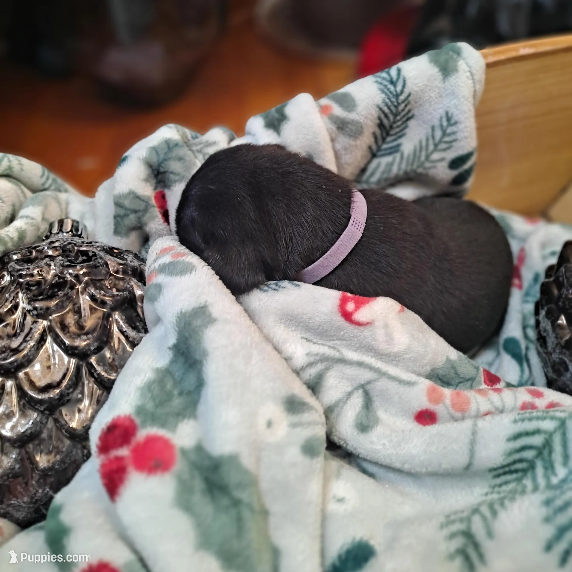 processed/fa01f870-922d-4482-aa66-11226bd25bee/listing/d3324fd8-eb03-4ab7-aafc-f42d0373392c/32dfd5fe-a5ec-4e95-af65-97692f972112