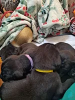 processed/fa01f870-922d-4482-aa66-11226bd25bee/listing/d3324fd8-eb03-4ab7-aafc-f42d0373392c/6df82a99-1f92-412a-811c-a377853b42e0