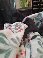 processed/fa01f870-922d-4482-aa66-11226bd25bee/listing/d3324fd8-eb03-4ab7-aafc-f42d0373392c/7e81febb-f1ca-4d29-a2d3-a55147de1ec3