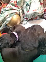 processed/fa01f870-922d-4482-aa66-11226bd25bee/listing/f74c7c9a-f8bf-495e-80f0-fd9457e966a3/0429dc53-e8b1-4ea8-9a9b-71976f09b4c6