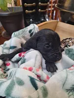 processed/fa01f870-922d-4482-aa66-11226bd25bee/listing/f74c7c9a-f8bf-495e-80f0-fd9457e966a3/b37d3f92-3942-487f-a871-32b43bca6150