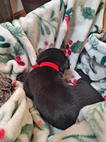 processed/fa01f870-922d-4482-aa66-11226bd25bee/listing/f74c7c9a-f8bf-495e-80f0-fd9457e966a3/d8620367-b06c-468c-ad2e-dfa4d38f9ea7