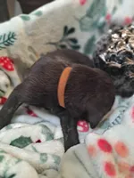 processed/fa01f870-922d-4482-aa66-11226bd25bee/listing/f74c7c9a-f8bf-495e-80f0-fd9457e966a3/d916182a-3133-4aa2-8a13-04af8ffef80c