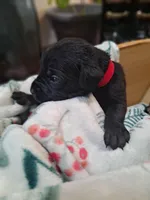 processed/fa01f870-922d-4482-aa66-11226bd25bee/listing/f74c7c9a-f8bf-495e-80f0-fd9457e966a3/f9700a3e-6419-4ed9-a411-71e12aa5f47b