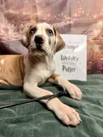 processed/fa0756e2-e158-4692-a28d-5a8df2053bf7/listing/7c76707a-f920-4ae7-9e88-2f29b0560502/38ffc6e4-d221-45cb-9465-4e23b3f8347b