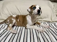 processed/fa0756e2-e158-4692-a28d-5a8df2053bf7/listing/7c76707a-f920-4ae7-9e88-2f29b0560502/53044bb2-16d6-40b2-ac00-1ce19fdcb13d