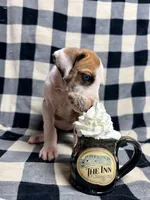 processed/fa0756e2-e158-4692-a28d-5a8df2053bf7/listing/7c76707a-f920-4ae7-9e88-2f29b0560502/7f56b4c8-56e8-4a53-8eee-211e9d1ecc5e