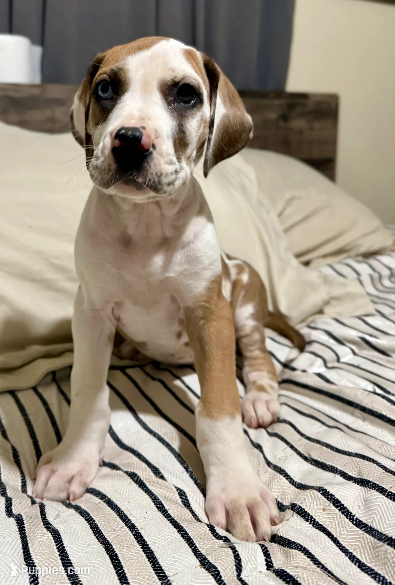 processed/fa0756e2-e158-4692-a28d-5a8df2053bf7/listing/7c76707a-f920-4ae7-9e88-2f29b0560502/88f45172-fd56-47ce-945d-d451680eda81