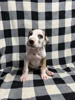 processed/fa0756e2-e158-4692-a28d-5a8df2053bf7/listing/7c76707a-f920-4ae7-9e88-2f29b0560502/9bdcb304-1256-45d0-80f9-277dfe454720