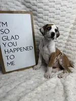 processed/fa0756e2-e158-4692-a28d-5a8df2053bf7/listing/7c76707a-f920-4ae7-9e88-2f29b0560502/9e6cf349-a29a-4033-84d4-87904ed6f2e3