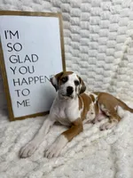 processed/fa0756e2-e158-4692-a28d-5a8df2053bf7/listing/7c76707a-f920-4ae7-9e88-2f29b0560502/e65b4386-d2eb-4881-bc5d-73c1612ec429