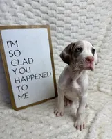 processed/fa0756e2-e158-4692-a28d-5a8df2053bf7/listing/ce250a60-f7df-4b1d-bf43-3fe5387cf72f/56b7e4bd-6f03-4503-9ae8-4906cc1f51f8