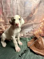 processed/fa0756e2-e158-4692-a28d-5a8df2053bf7/listing/ce250a60-f7df-4b1d-bf43-3fe5387cf72f/5a22aa4d-fde0-494f-91e4-15d879b4095e