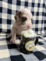 processed/fa0756e2-e158-4692-a28d-5a8df2053bf7/listing/ce250a60-f7df-4b1d-bf43-3fe5387cf72f/65c8ee51-f0d3-44e6-984c-456d4c95ae06