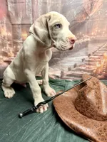 processed/fa0756e2-e158-4692-a28d-5a8df2053bf7/listing/ce250a60-f7df-4b1d-bf43-3fe5387cf72f/7bcc1aba-cec7-436c-ad51-5c0f7dbed85b