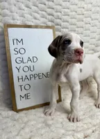 processed/fa0756e2-e158-4692-a28d-5a8df2053bf7/listing/ce250a60-f7df-4b1d-bf43-3fe5387cf72f/9440573f-66b9-49f7-9415-a85a285c90f2