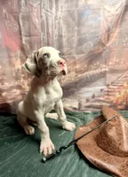 processed/fa0756e2-e158-4692-a28d-5a8df2053bf7/listing/ce250a60-f7df-4b1d-bf43-3fe5387cf72f/b441cc87-b35a-4a10-8706-ded4c8f81ea3