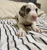 processed/fa0756e2-e158-4692-a28d-5a8df2053bf7/listing/ce250a60-f7df-4b1d-bf43-3fe5387cf72f/ba22101d-5485-49f7-b61c-de573f3fce46