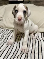 processed/fa0756e2-e158-4692-a28d-5a8df2053bf7/listing/ce250a60-f7df-4b1d-bf43-3fe5387cf72f/e6896a91-2e25-4574-a04f-98f04c496f3c