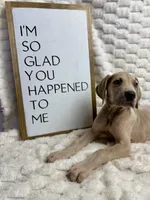 processed/fa0756e2-e158-4692-a28d-5a8df2053bf7/listing/efa1bb0c-87e8-4ea9-bfe9-6a5aef17b99d/18118c9c-7753-4081-b753-9175f9b120ec