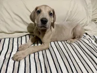 processed/fa0756e2-e158-4692-a28d-5a8df2053bf7/listing/efa1bb0c-87e8-4ea9-bfe9-6a5aef17b99d/182101e5-97b2-4eab-8966-e1027eb5e70b