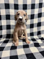 processed/fa0756e2-e158-4692-a28d-5a8df2053bf7/listing/efa1bb0c-87e8-4ea9-bfe9-6a5aef17b99d/356cb677-0451-4155-ad0c-990608156857