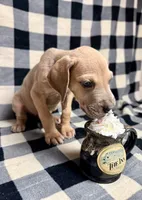 processed/fa0756e2-e158-4692-a28d-5a8df2053bf7/listing/efa1bb0c-87e8-4ea9-bfe9-6a5aef17b99d/46a3f598-f3ee-4ecb-8d36-0c71e07a942e