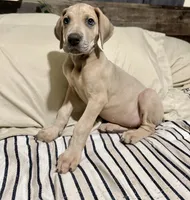 processed/fa0756e2-e158-4692-a28d-5a8df2053bf7/listing/efa1bb0c-87e8-4ea9-bfe9-6a5aef17b99d/4e4968c0-6093-4381-bb98-e2b6c4b3133a