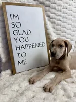 processed/fa0756e2-e158-4692-a28d-5a8df2053bf7/listing/efa1bb0c-87e8-4ea9-bfe9-6a5aef17b99d/52593974-5518-4432-9aea-6592db3781aa