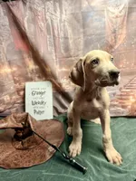 processed/fa0756e2-e158-4692-a28d-5a8df2053bf7/listing/efa1bb0c-87e8-4ea9-bfe9-6a5aef17b99d/795068b7-d7e1-4928-98f5-58435b5e0ab3