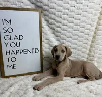 processed/fa0756e2-e158-4692-a28d-5a8df2053bf7/listing/efa1bb0c-87e8-4ea9-bfe9-6a5aef17b99d/cac97f32-19d7-45c4-8263-d636c1aa5731